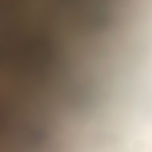 Meet your Posher, Ronan